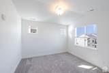 3747 Dalbergia Dr - Photo 10