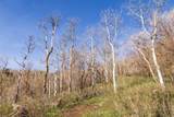 10135 Kimball Canyon Rd - Photo 13