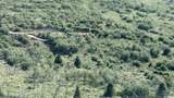 2390 Westview Dr - Photo 8