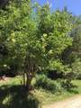 6387 Lefthand Fork Ln - Photo 17