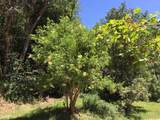 6387 Lefthand Fork Ln - Photo 25