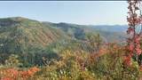 28 Deer Valley Dr - Photo 9