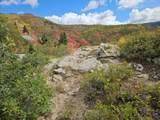 30 Deer Valley Dr - Photo 2