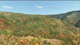 30 Deer Valley Dr - Photo 11