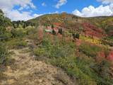 30 Deer Valley Dr - Photo 4