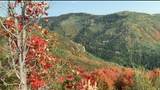 30 Deer Valley Dr - Photo 10