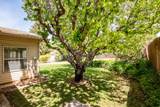 1069 Cedar Knolls Dr - Photo 58