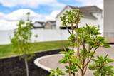 514 275 - Photo 54