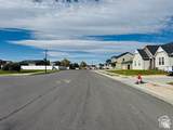 954 Wahlen Way - Photo 50