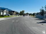 954 Wahlen Way - Photo 51