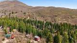 2450 Snake Creek Rd - Photo 30