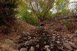 2672 Canyon Rd - Photo 29