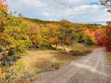 31 Juniper Dr - Photo 4