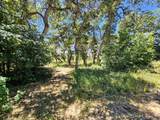 31 Juniper Dr - Photo 36