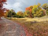 31 Juniper Dr - Photo 48