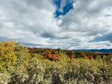 31 Juniper Dr - Photo 49