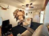 31 Juniper Dr - Photo 8