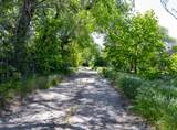 97 Dawson St - Photo 8