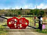 712 Wolf Hollow - Photo 1