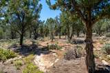 1402 Winter Quarters Trl - Photo 45