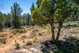 1402 Winter Quarters Trl - Photo 48