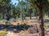 1402 Winter Quarters Trl - Photo 52