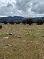 17 Old Highway 89 - Photo 4