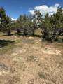 17 Old Highway 89 - Photo 10