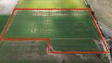 790 1000 - Photo 22