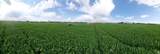 790 1000 - Photo 23