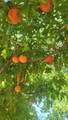 790 1000 - Photo 26