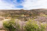 1553 Tree Top Ln - Photo 41