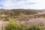 1553 Tree Top Ln - Photo 42