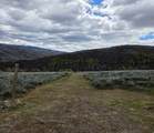 13149 Pine Canyon Rd - Photo 36