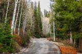551 Red Fir Way - Photo 13