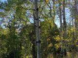 5490 Fremont Trl - Photo 56