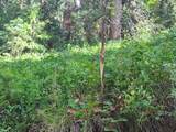 30 Pine Creek Rd - Photo 5