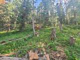 30 Pine Creek Rd - Photo 8