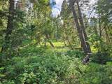 30 Pine Creek Rd - Photo 10