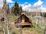 1853 Pine Loop Rd - Photo 41