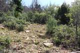 2289 High Mountain Dr - Photo 12