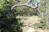 2289 High Mountain Dr - Photo 8