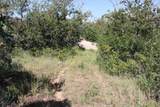 2289 High Mountain Dr - Photo 9