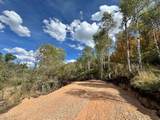 117 Echo Creek - Photo 16
