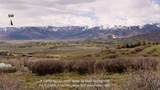 9069 Cottonwood Trl - Photo 1