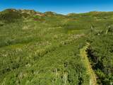 5146 Pine Canyon Rd - Photo 12