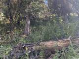 741 Forgotten Ln - Photo 11