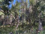 741 Forgotten Ln - Photo 12