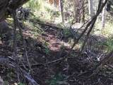 741 Forgotten Ln - Photo 13