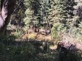 741 Forgotten Ln - Photo 15